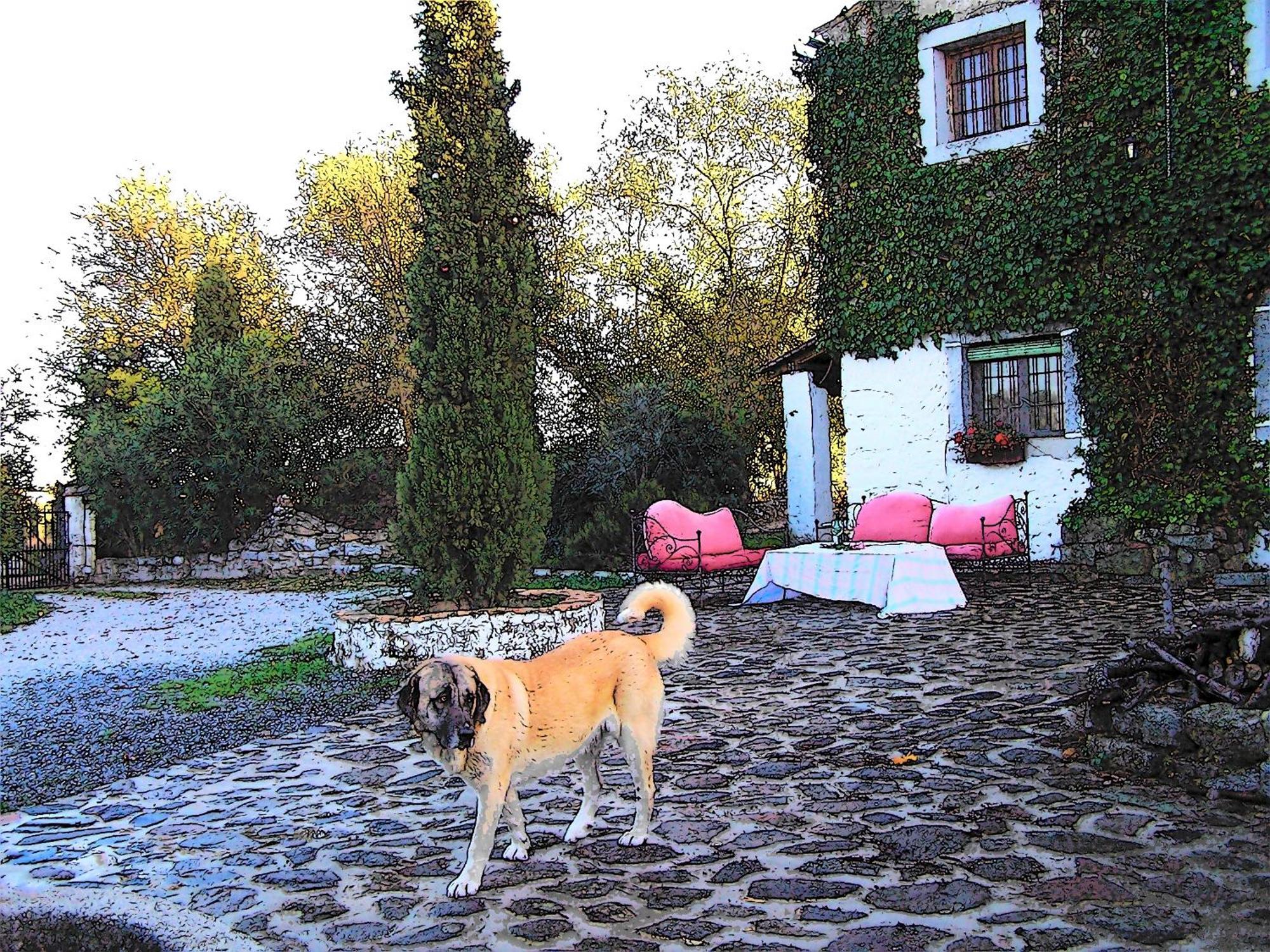 Casa Rural Cortijo del Zoco Bajo Pozoblanco Exterior foto